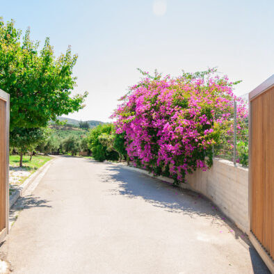 entrance of villa Prigipessa agia marina chania Crete